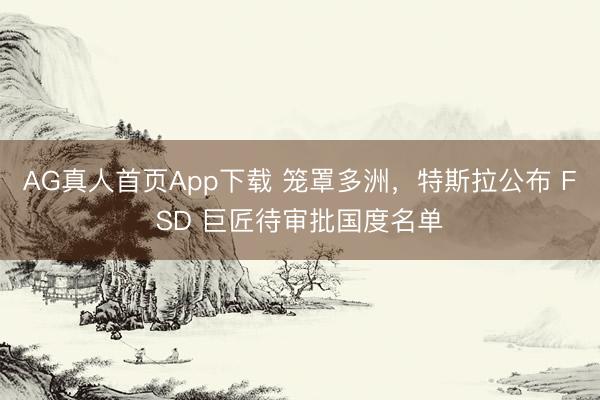 AG真人首页App下载 笼罩多洲，特斯拉公布 FSD 巨匠待审批国度名单