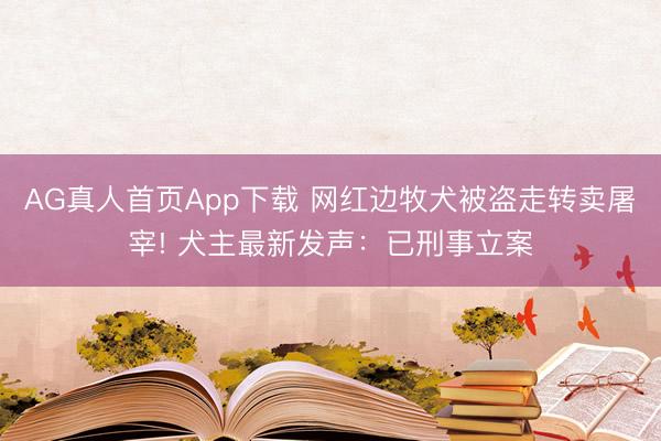AG真人首页App下载 网红边牧犬被盗走转卖屠宰! 犬主最新发声：已刑事立案